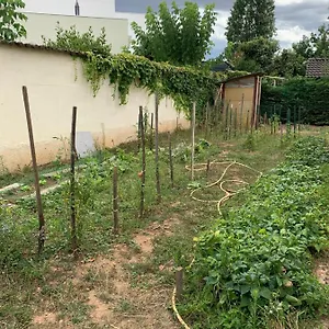 T2 Independant Proche Ol Stadium Et Salle Ldlc Arena Appartement